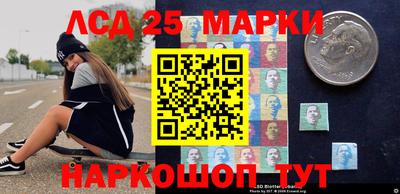 гидропоника Краснознаменск