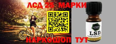 гидропоника Краснознаменск