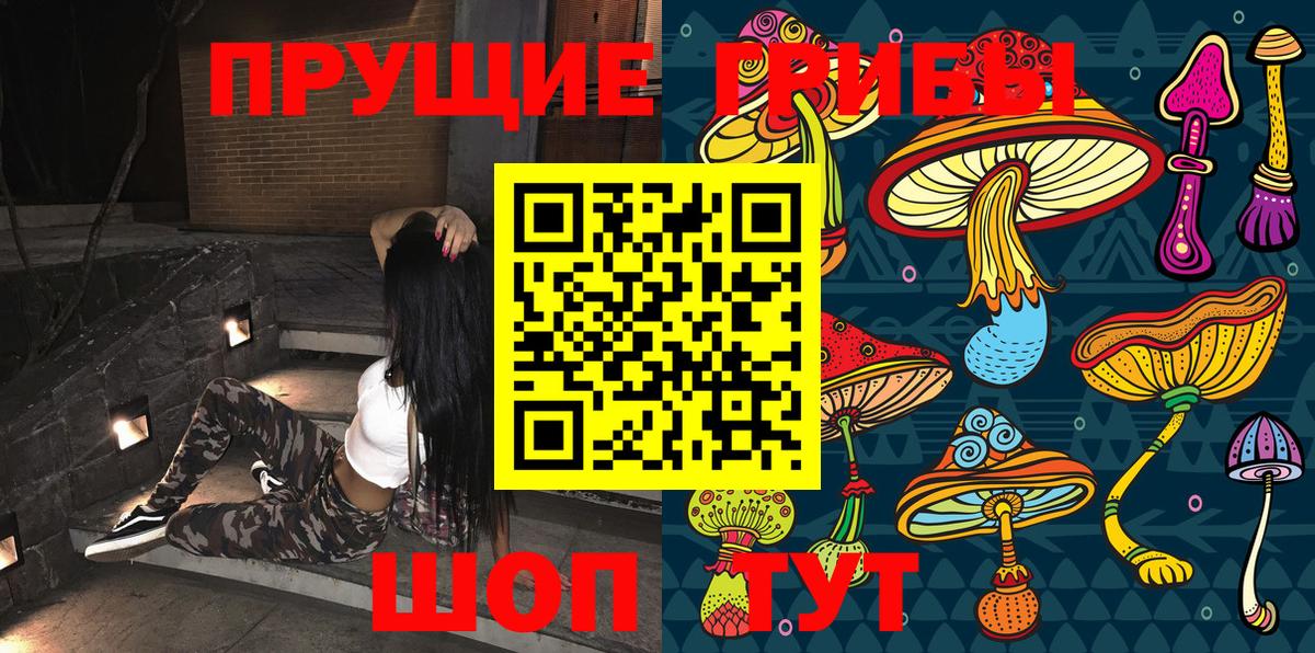 Псилоцибиновые грибы ЛСД Киселёвск
