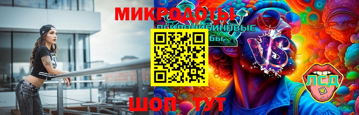 Киселёвск  Псилоцибиновые грибы прущие грибы  где купить наркотик  Вход с VPN 